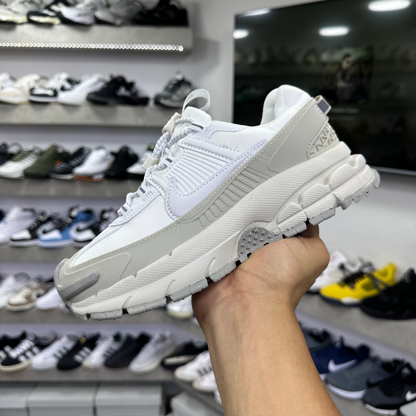 Nike Zoom Vomero Roam Summit White